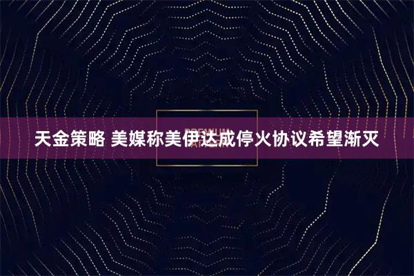 天金策略 美媒称美伊达成停火协议希望渐灭